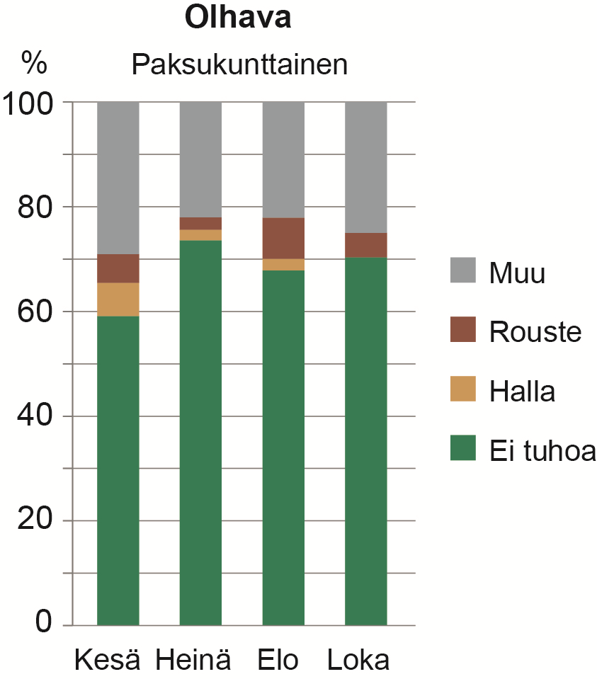 Taimituhot istutusajan mukaan, Olhava 28