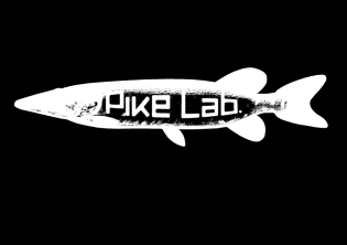 PIKE TULOKSIA (NOUTOPÖYTÄ) Selvityksiä valmistelussa Valtakunnallinen pike-tilannekatsaus selvitys (EKK/Martti Wilhelms 2014) Vapaa-ajan asutuksen ja pysyvän asuminen yhdistäminen samalle