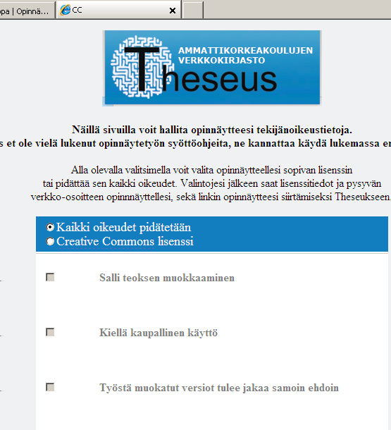 2. Ensin tallennetaan tekijänoikeustiedot ja sähköpostiosoite.