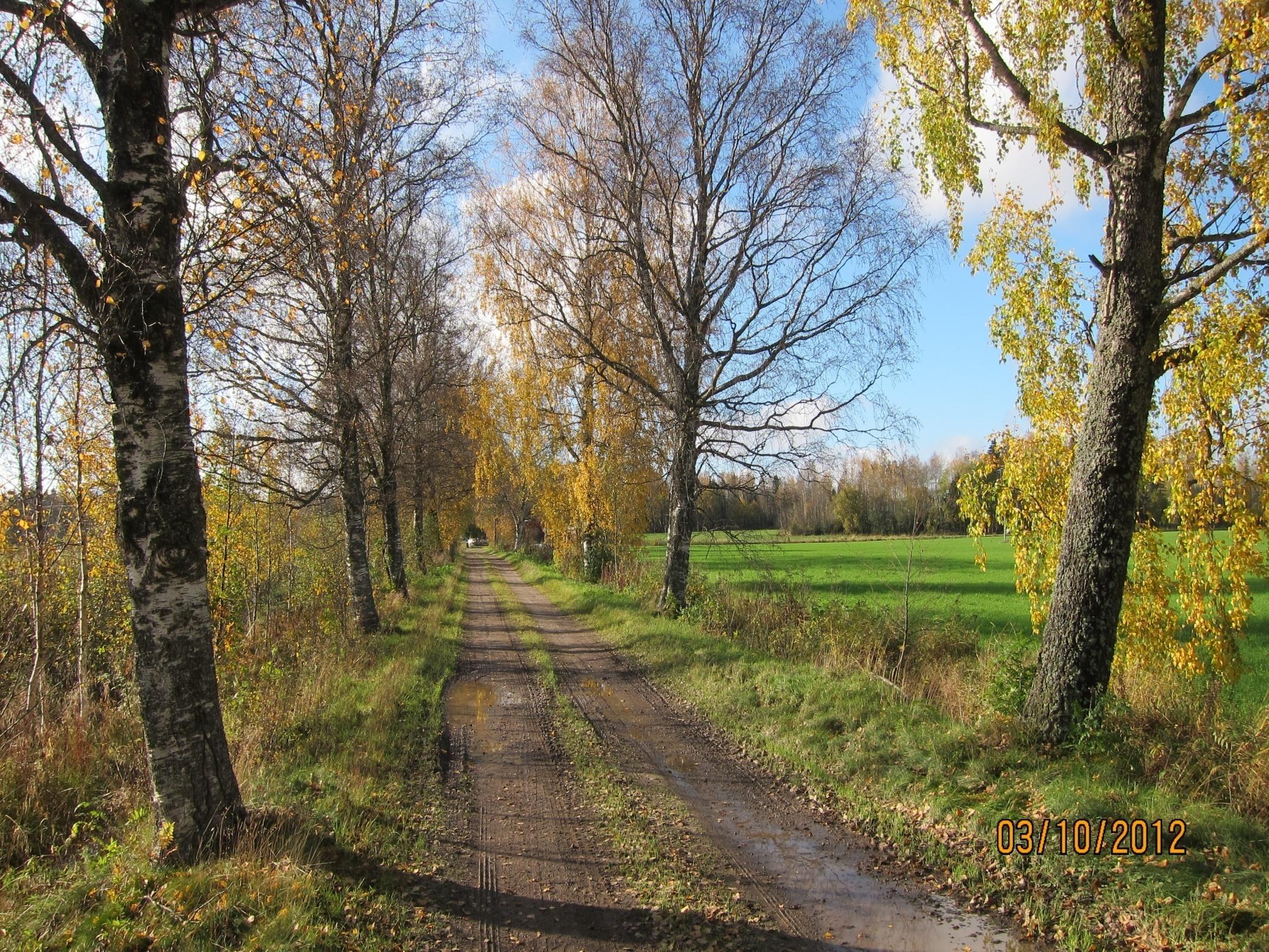 PUUKUJANTEET Elintilaa sienille, jäkälille, sammalille, linnuille, hyönteisille 29.10.