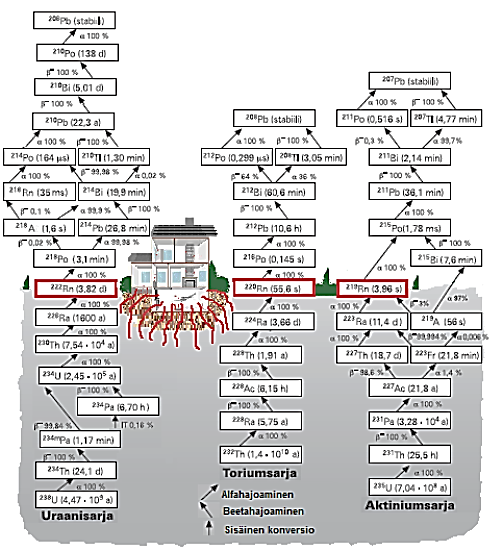 11 Edellä on kuvattu uraanin ( 238 U) hajoamisketju vaiheineen ja miten radon ( 222 Rn) syntyy tämän hajoamisketjun osana.