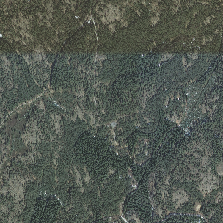 Kuva 11: 2 x 2 km suuruinen metsäalue laserkeilauspintamallin testaamiseksi. Alueen ylälaidassa oleva värimuutos johtuu ilmakuvausjonojen reunasta.