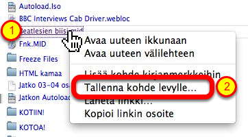 Tiedostojen haku selaimella Amadeuksen kotihakemistostasi Mikäli odottelet toimettomana jonkin aikaa, saattaa ftp-palvelin kysyä salasanaasi uudelleen.