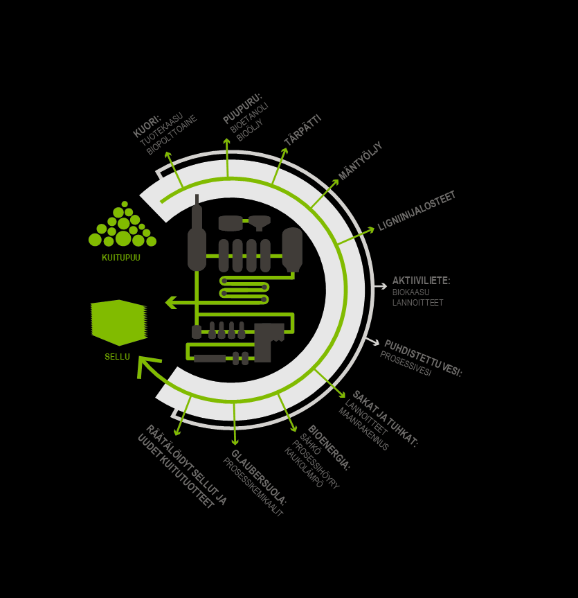 Moderni, energiatehokas sellutehdas toimii biotuotetehtaan ytimenä Puusta jalostetaan kestävästi ja resurssitehokkaasti Biomateriaaleja, -energiaa, -kemikaaleja ja lannoitteita Raaka-aine ja
