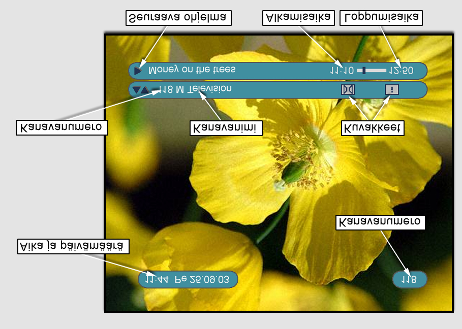 Kanavainfo Kanavainfo tulee automaattisesti näkyviin ruudun alalaitaan kun vaihdat kanavaa tai painat kaukosäätimen -näppäintä.