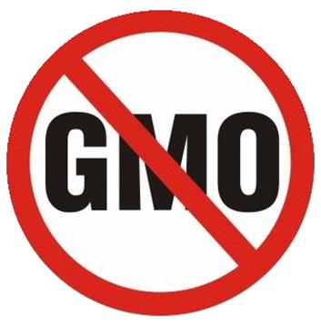 Luomun GMO-kielto Muuntogeenisiä ainesosia ei saa käyttää Merkitsemispakko (834 / 2007 art.