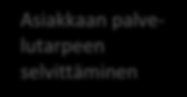 Toimintakykyyn perustuvien kriteereiden lisäksi palveluohjaajalla ja sosiaalityöntekijällä on oikeus käyttää kokonaisvaltaista harkintaa tehdessään palvelupäätöksiä (mm.