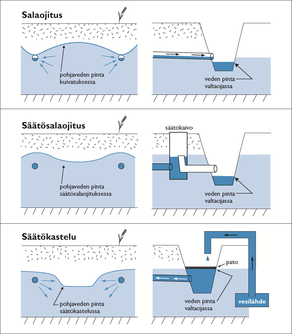 Jatkossa.