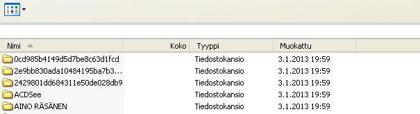 Windowsin käytöstä - Tiedostot Tiedostojen lajittelu Tiedosto-ikkunassa