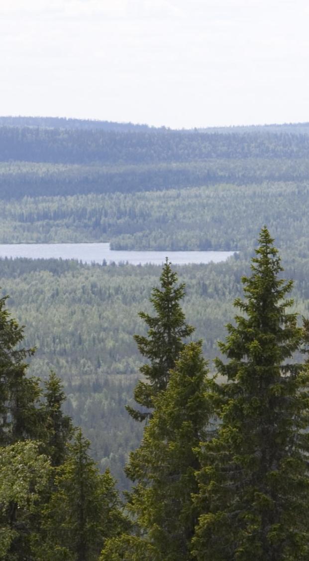 Taustaa Yhteiskunnallisia haasteita: Liikkumattomuus Mielenterveyden