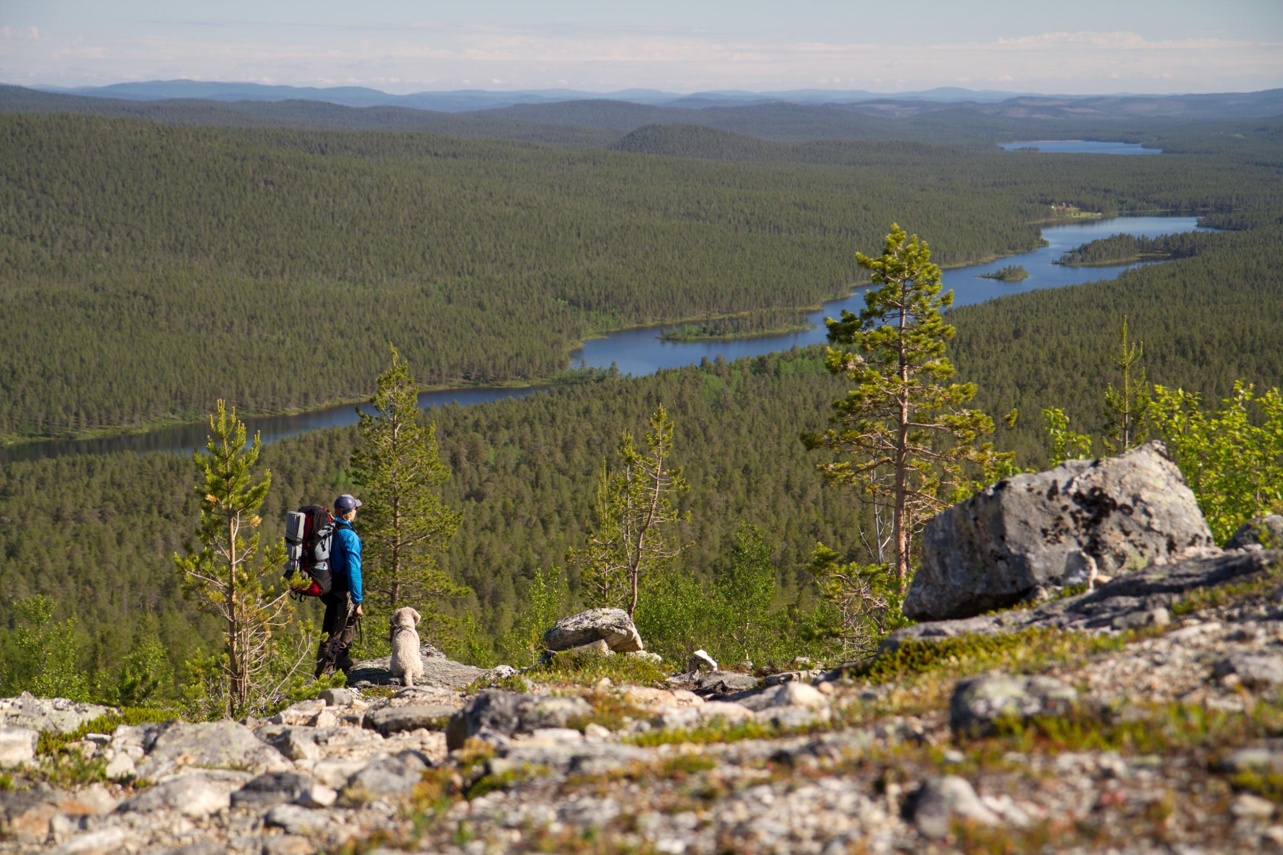 Metsähallituksen luontopalvelut hoitaa ja suojelee