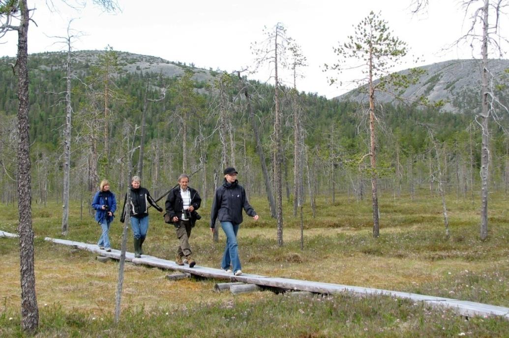 Kansallispuistot liikuttavat Kansallispuistoretkellä patikoitiin keskimäärin 15 km.