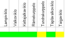 Kurkun ja rinnan yläosan väri: Jurmon linnulla oli rinnassa hyvin heikko vipevöinti, jota kuvassakin löytyy tarkasti katsoen.