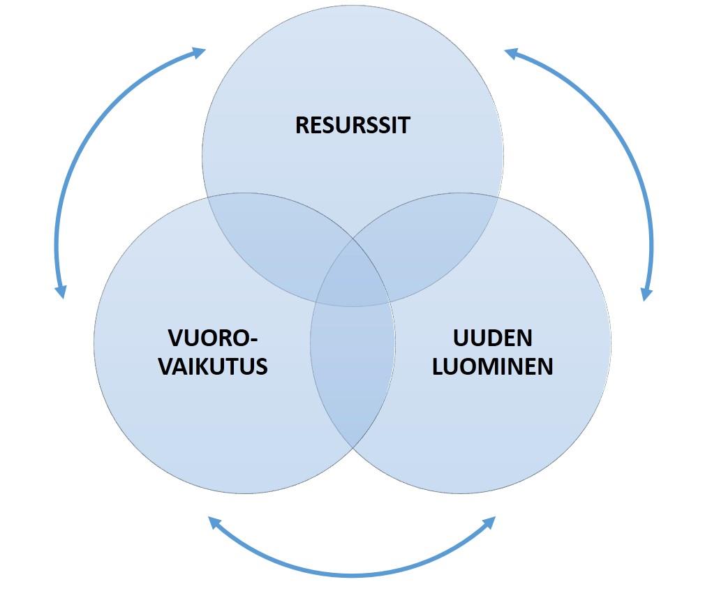 osallisuus, paikallisidentiteetti, erilaiset elämäntapavalinnat ja kulttuuri Strategiset valinnat,