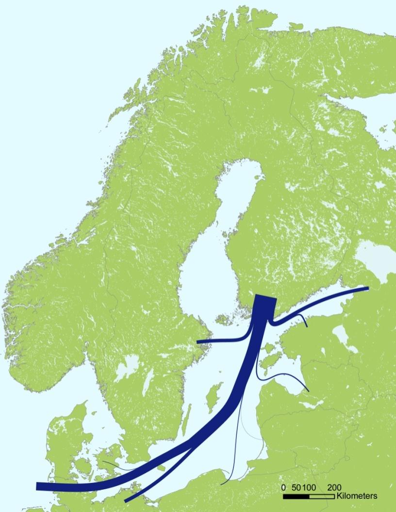 Suomen kuljetusvirrat Itämerellä 2011 Suomen ja ulkomaiden välisestä liikenteestä 62 % suuntautui