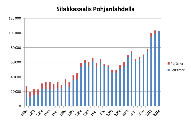 Suomen saaliskiintiöt EU:n neuvosto vahvistaa vuosittain Suomelle saaliskiintiöt Itämeren seuraaville kalakannoille: Pohjanlahden silakka Itämeren