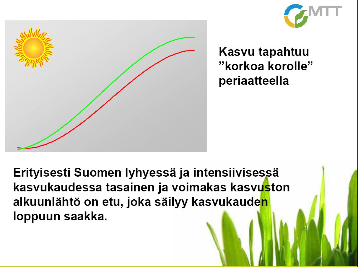 Miksi kannattaa käyttää sertifioitua siementä luomumallasohrassa MTT kylvösiementutkimus 2010 Siemenen laadun merkitys