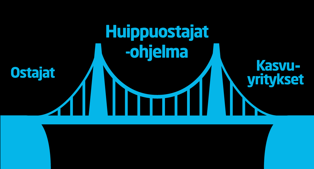 Esimerkki uudesta ohjelmasta: Huippuostajat -ohjelmalla tuodaan innovatiivinen kysyntä ja tarjonta yhteen Kehitetään fiksua kysyntää