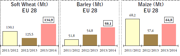 EU:n viljantuotanto 2013 Vehnä Ohra Maissi 5 -Tuotannon lisäys keskittyy etenkin rehuviljoihin ja vehnään -Poikkeuksellisen suuri osuus myllyvehnää Baltiassa, Puolassa, Saksassa -Ohran vientimäärä
