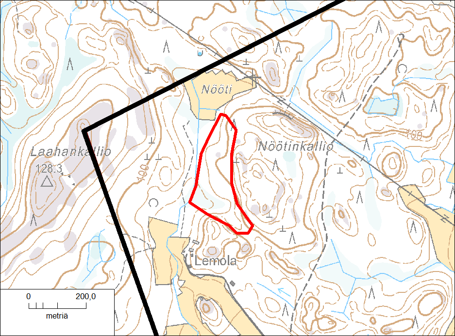 Kuva 34. Nöötin liito-orava.