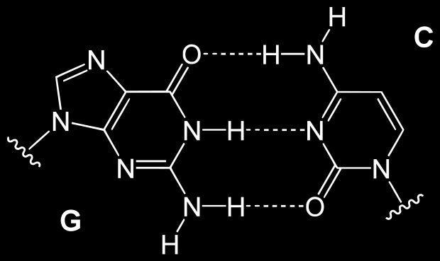 Vetysidos Orgaanisista yhdisteistä alkoholit ja karboksyylihapot sisältävät vetysidoksia, kun osa vetyatomeista on sitoutunut happiatomiin Biokemiassa esim.