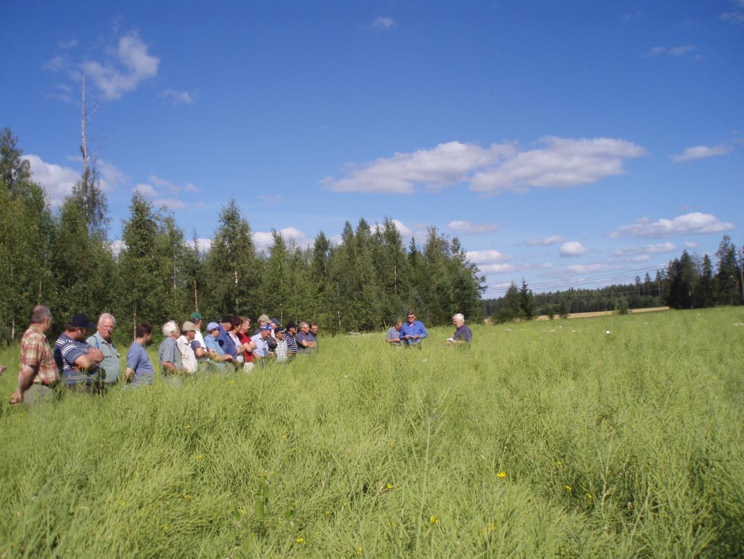 Kuva 6. Kevätrypsin viljelijänäytteiden laatu vuosina 2007, 2008, 2009, 2010 ja 2011 (Kuva Marketta Saastamoinen) Kuva 7.