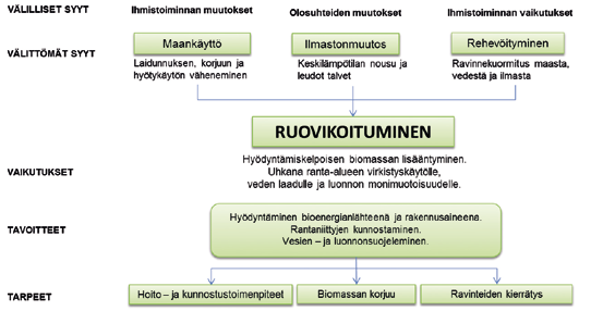 temmin rantaniittyjen määrä on tippunut 10 prosenttiin entisestä ja ruovikoita on 16-kertainen määrä suhteessa laidunnettuihin rantaniittyihin. (Niemelä 2012, 6 7.