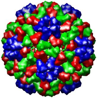 Esimerkki 1. Tyhjä viruskapsidi + RNA 28 nm Yksittäiset proteiinit Normaali Virus ph 7.