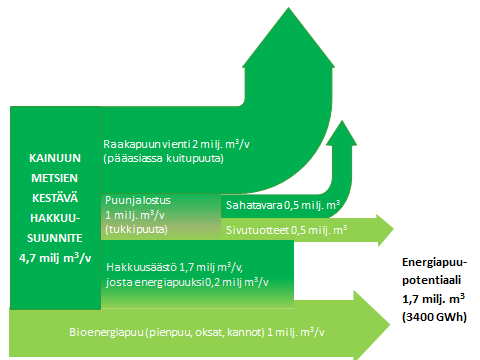 Osaamista tulee vahvistaa eri tasoilla. Tässä osin esille nousee Kajaanin ammattioppilaitoksen Seppälän toimipisteen rooli bioenergia-alan koulutuspalvelujen tarjoajana. Myös ns.