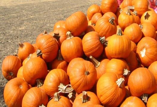 Suomikoululainen Lokakuu, 2015 Puheenjohtajan kuulumisia Halloween, tuota kaikkien aikojen naamiaisjuhlaa ja karkkipäivää vietetään viimeisenä päivänä lokakuuta.