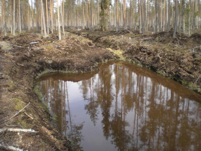 Vesiensuojelurakenteiden teho -laskeutusaltaat Laajasti ja pitkäaikaisesti tutkittu kunnostusojituksen vaikutusten yhteydessä (Samuli Joensuu)
