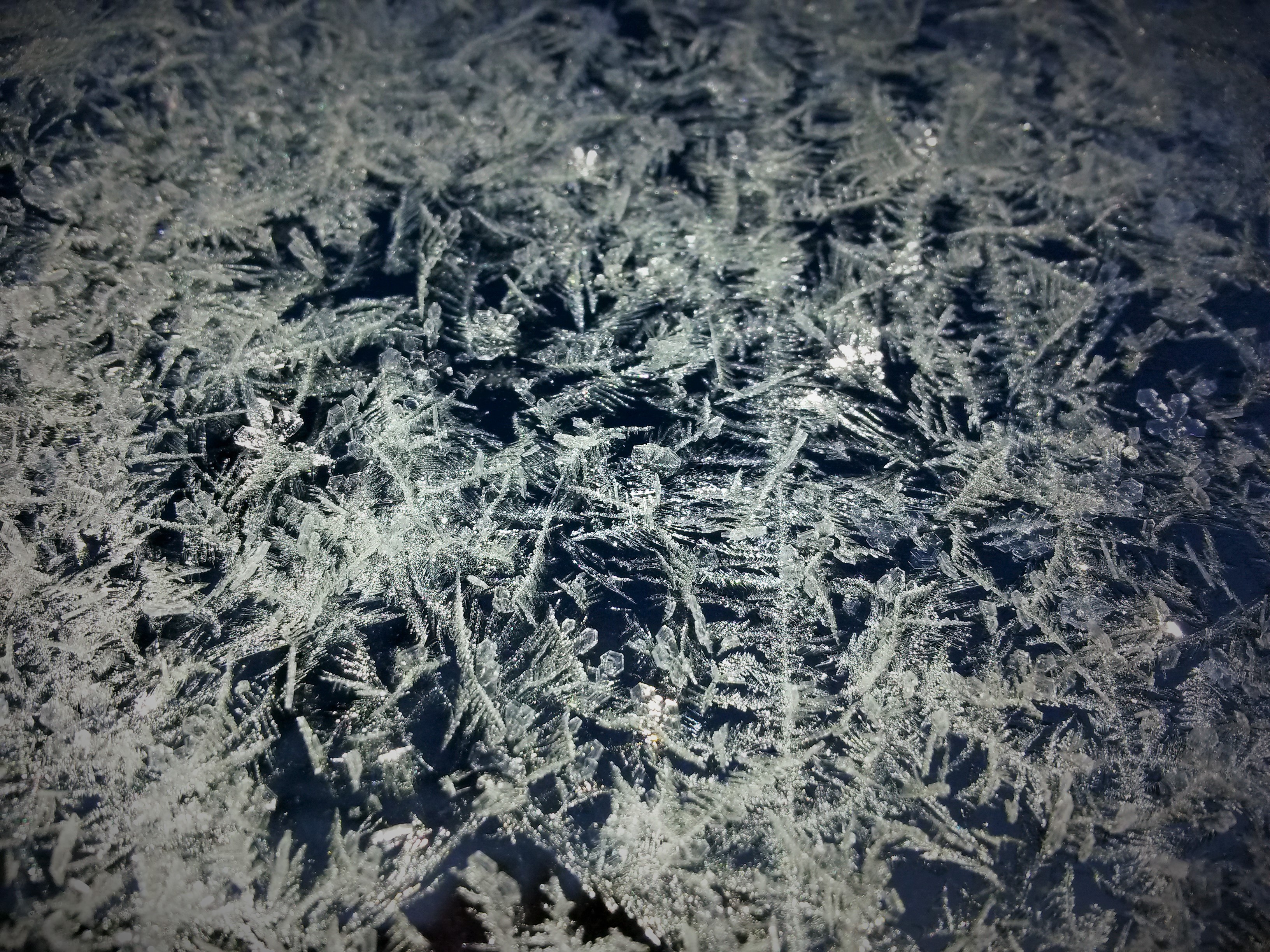 toivottaa hyvää alkanutta