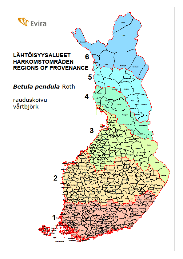 Rauduskoivun siemenviljelykset, istutettu 2014 Etelä-Suomi (1), Tapio Sv 466 Hausjärvi, Oitti, 0,1 ha Sv