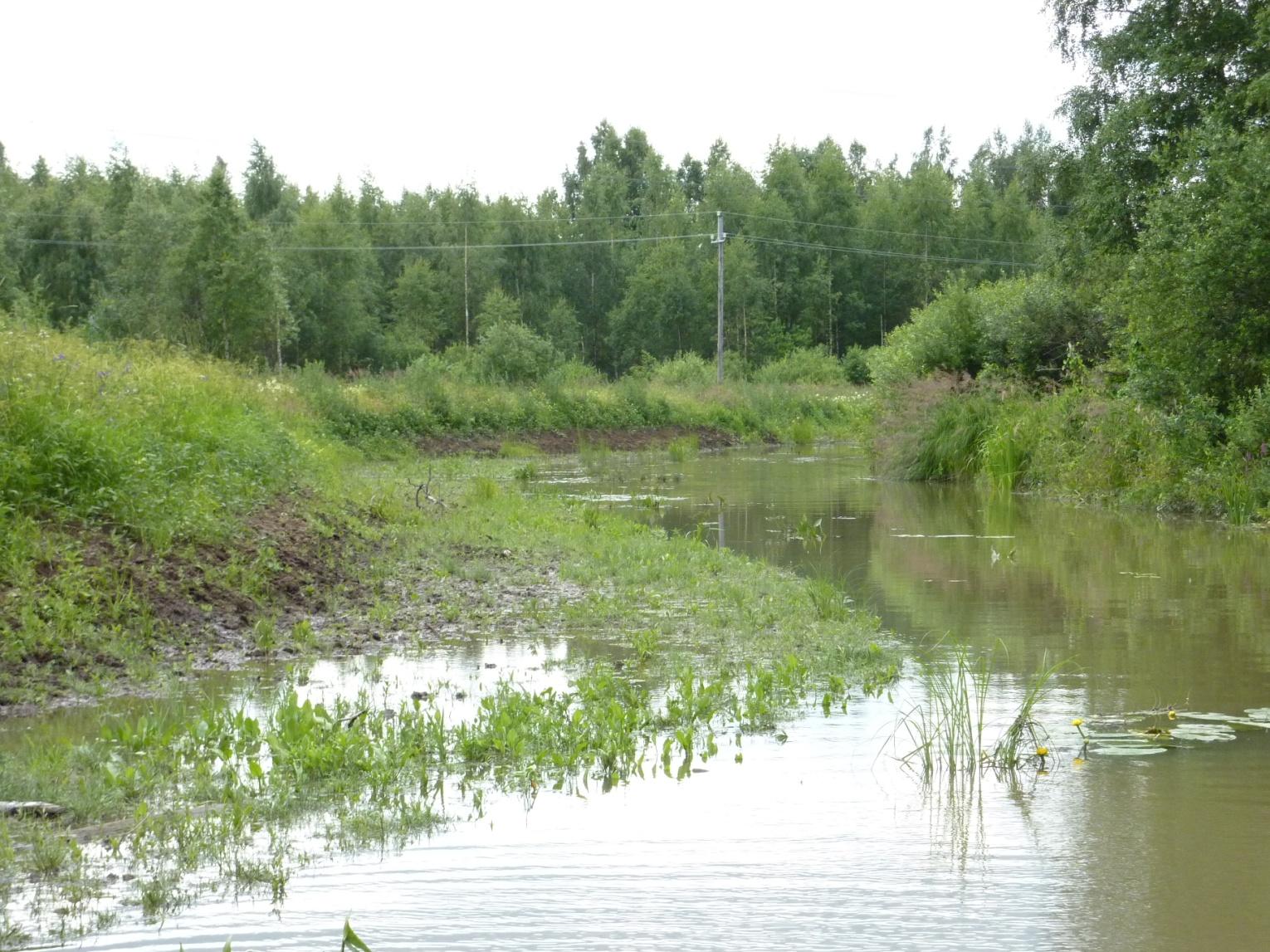 Luonnonmukainen vesirakentaminen maatalouden peruskuivatuksessa