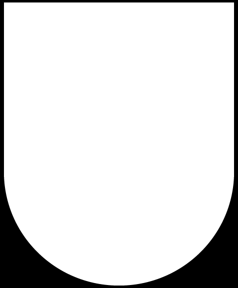 JULKINEN JulkL (621/1999/1 ) SALMISAAREN