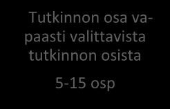 jataan tekemään omaa oppimistaan koskevia päätöksiä ja tarvittaessa muuttamaan suunnitelmaa opintojen edetessä. Henkilökohtaisen opintosuunnitelman allekirjoittavat opiskelija ja ryhmänohjaaja.