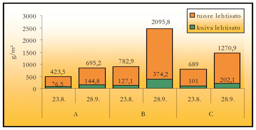 Kuva 3. Suvikyntelin tuore ja kuiva lehtisato kasvihuoneessa kahdesta korjuusta. Mikkeli, 2004. Taimityypit: A = 1 kpl/potti, B = 4 kpl/potti ja C = 40 kpl/potti. 4).