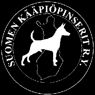 ry Tulosjulkaisu