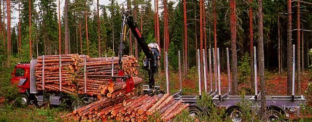 Case: Stora Enso Optimisation of wood logistics Customer(s): Stora Enso Customer s Challenge: Optimisation of wood harvesting and