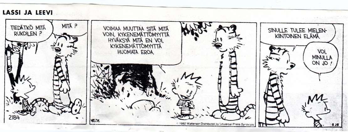 pitkään.