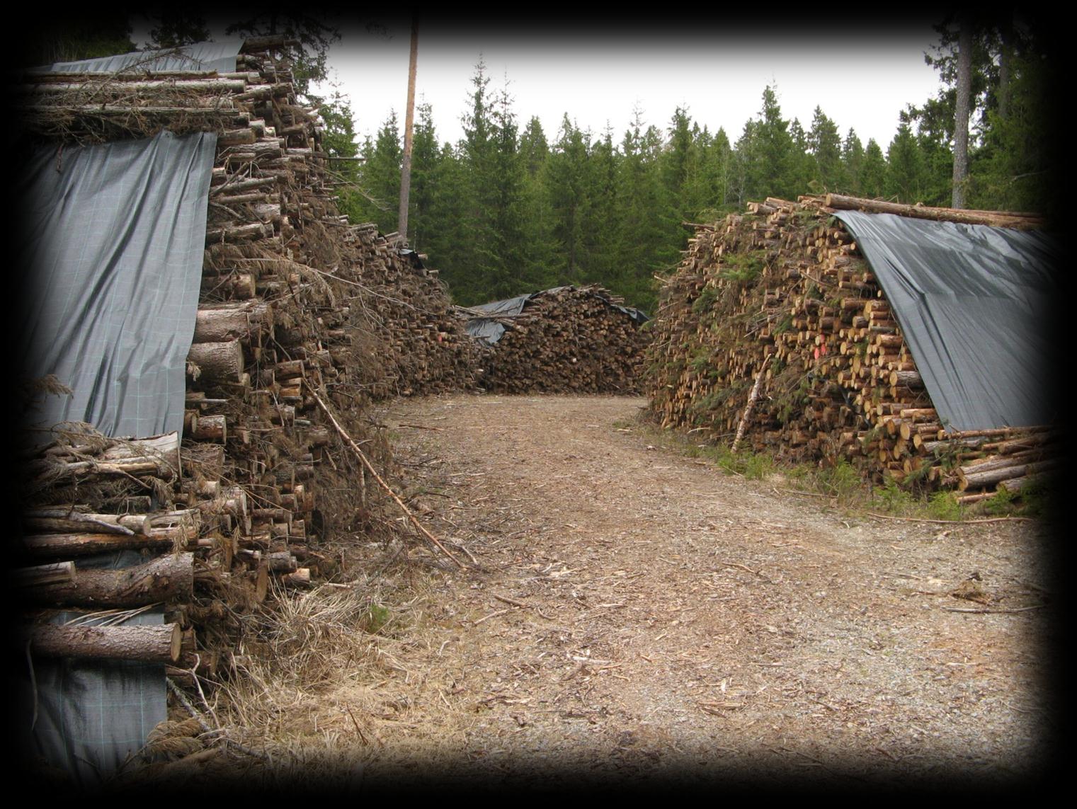 Metsästä energiaa Puupolttoaineet ja
