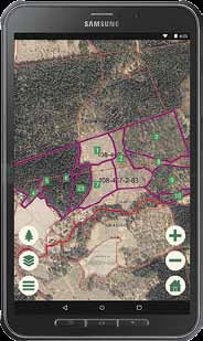 Metsäsuunnitelma kännykkään veloituksetta Mhy Mänty-Saimaa tarjoaa jäsenilleen metsäsuunnitelman myös mobiiliversiona.