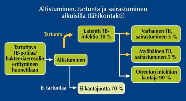 Kaavio 1. Altistumisen jälkeisen tartunnan ja aktiivitaudin todennäköisyys (11). Taulukko 1. Tartunnan muuttumista aktiivitaudiksi lisääviä tekijöitä (12). 3.