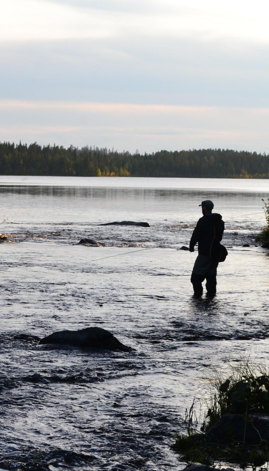 Hankekokonaisuuden tavoitteet Suomessa on tulevaisuudessa vesiä joiden kalasto on poikkeuksellisen vetovoimainen ja houkutteleva Vesien käyttöä on ohjattu selkeästi eri