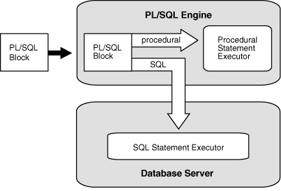 24 (56) PL/SQL-ohjelmointikieli suoritetaan PL/SQL-moottorissa ja siihen sisältyvät SQL-komennot lähetetään SQL-tulkille, joka käsittelee itse tietokantaa.