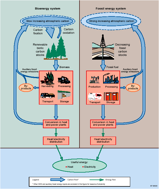 Bioenergia vs.