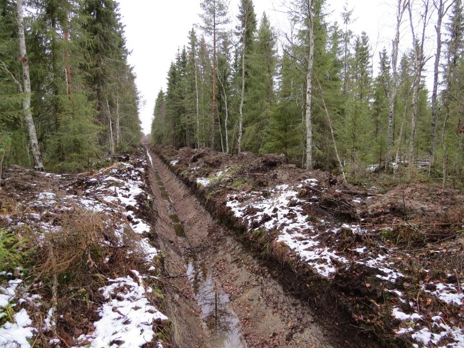 Riskit kunnostusojituksessa Luiskien lähialue saralla hapettuu, koska kuivuu tehokkaimmin