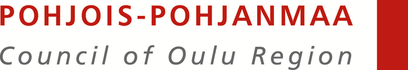 JUHLAVUOSI 2017