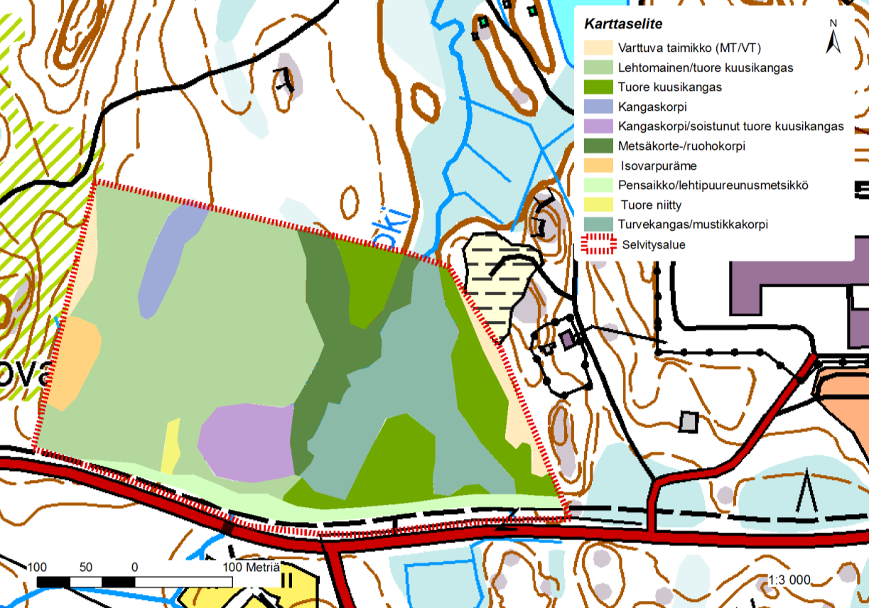 FCG SUUNNITTELU JA TEKNIIKKA OY Raportti