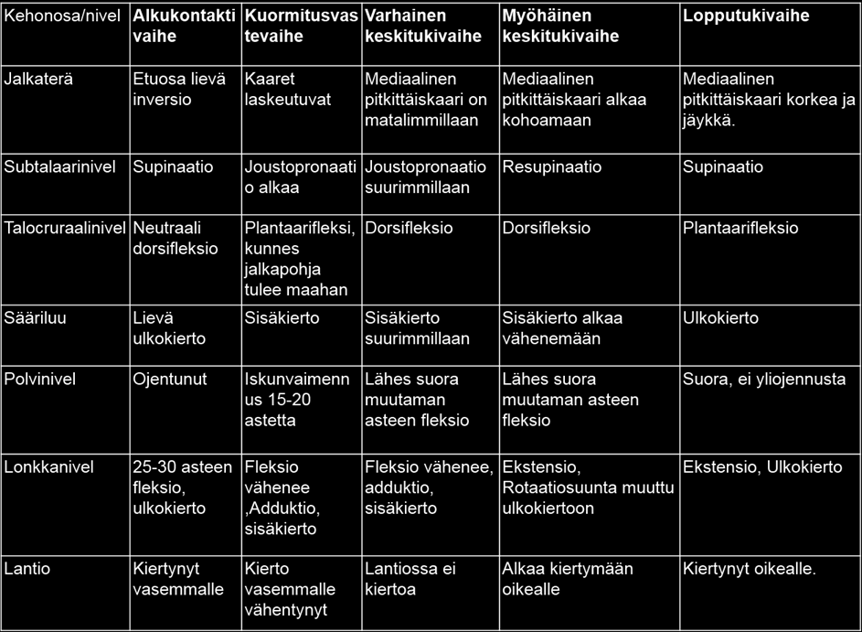 Liite 1 1 (1) Alaraajan toiminta kävelyn eri vaiheissa Alaraajan